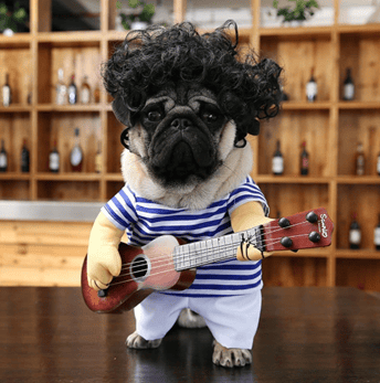 Disfraz de Guitarra para Perros